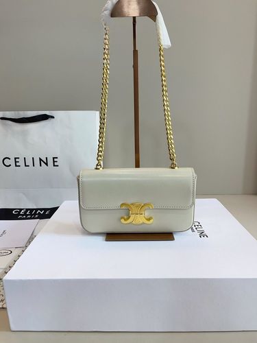 Celine Handbag 676