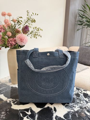 Celine Handbag 679