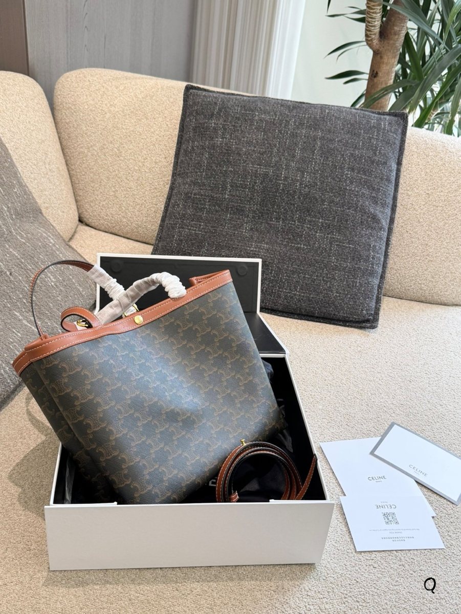 Celine Handbag 680