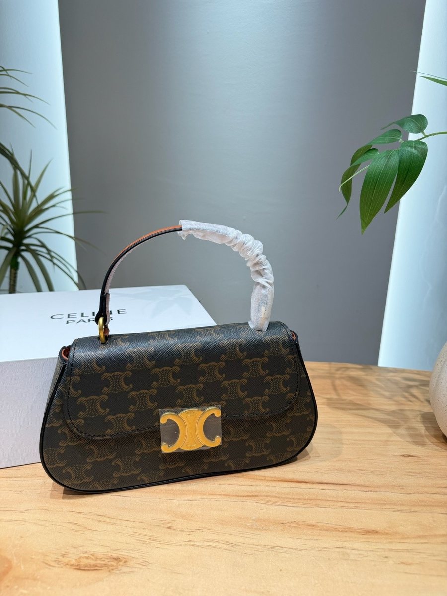 Celine Handbag 681