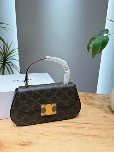 Celine Handbag 681