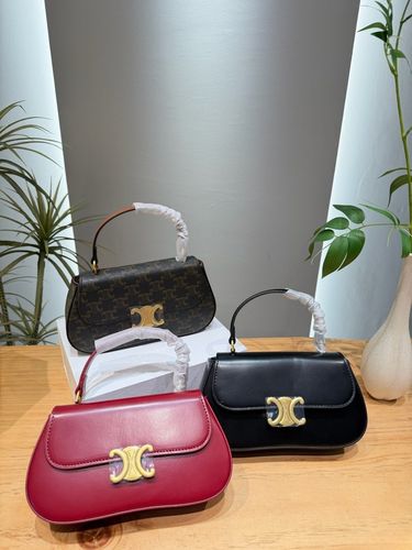 Celine Handbag 682