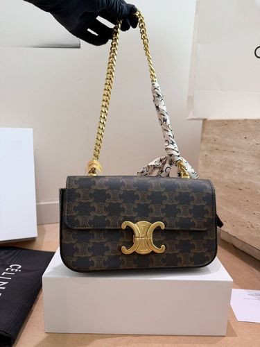 Celine Handbag 693
