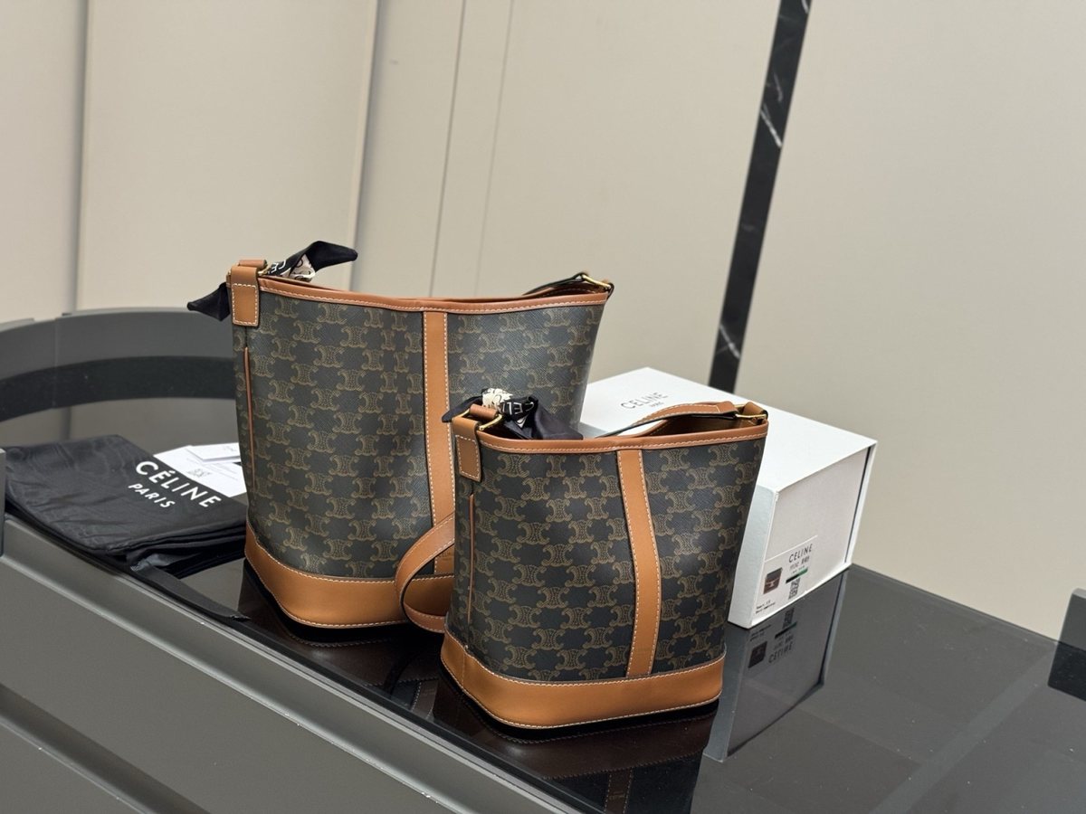 Celine Handbag 694