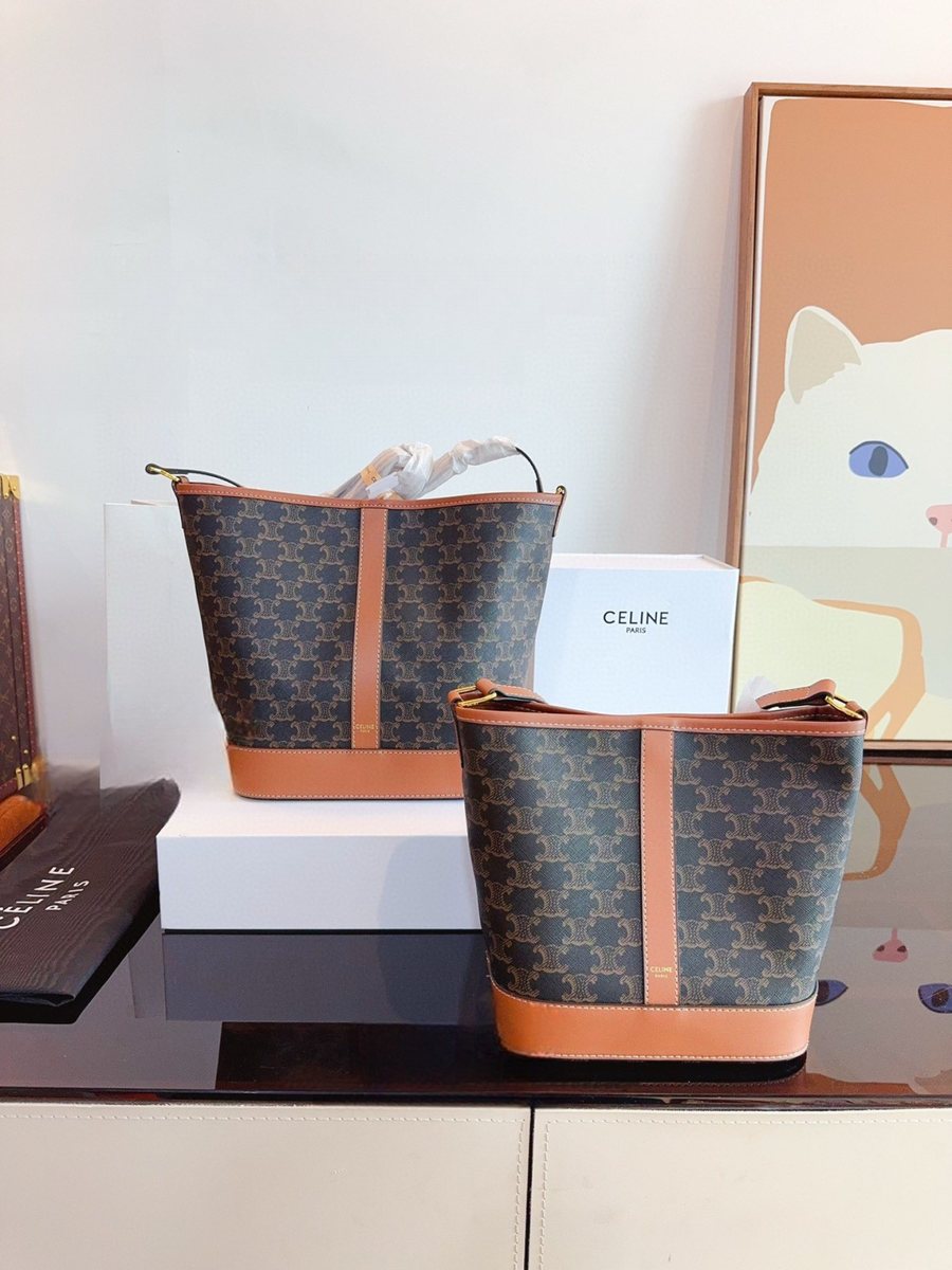Celine Handbag 696