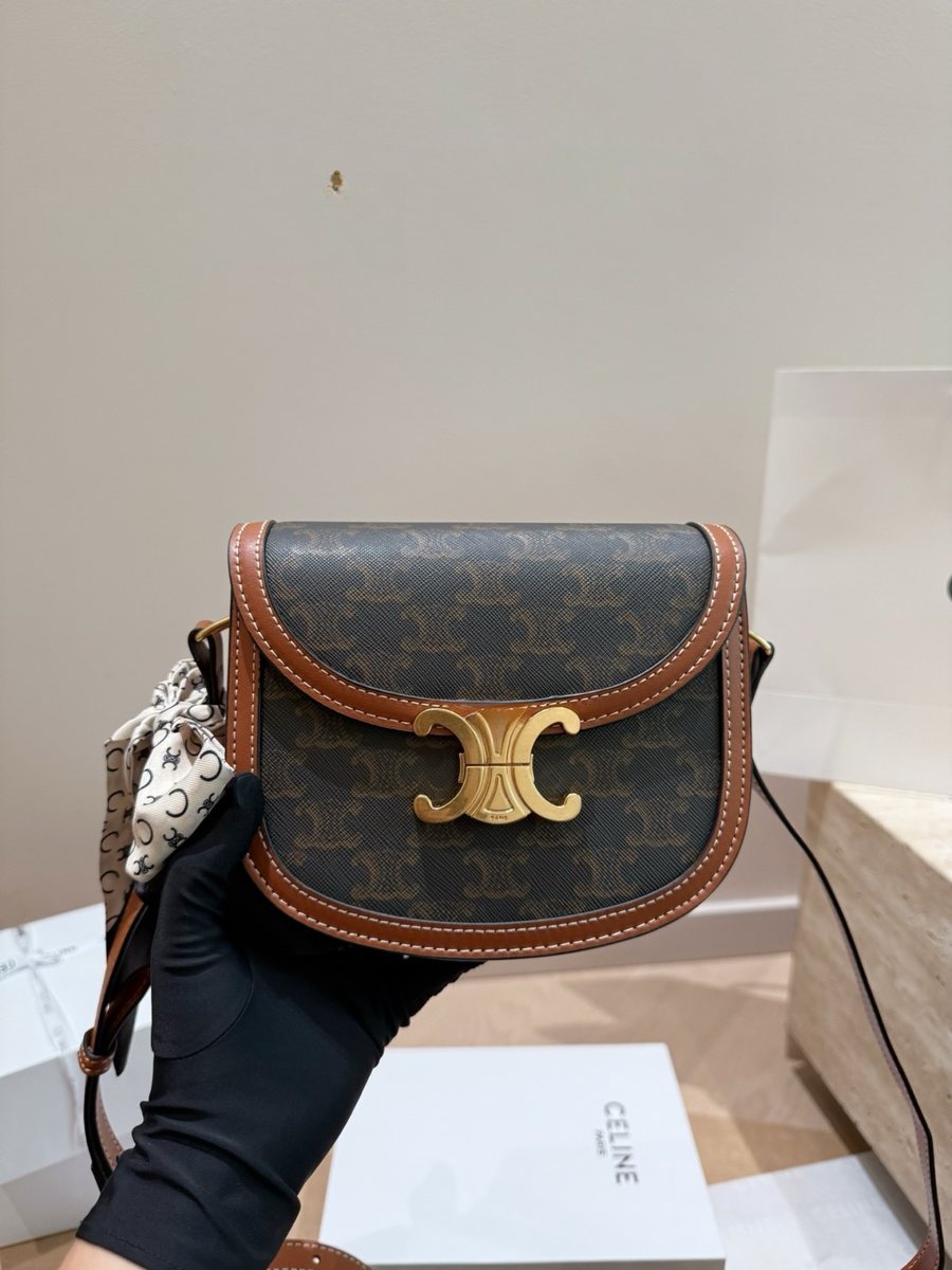Celine Handbag 699