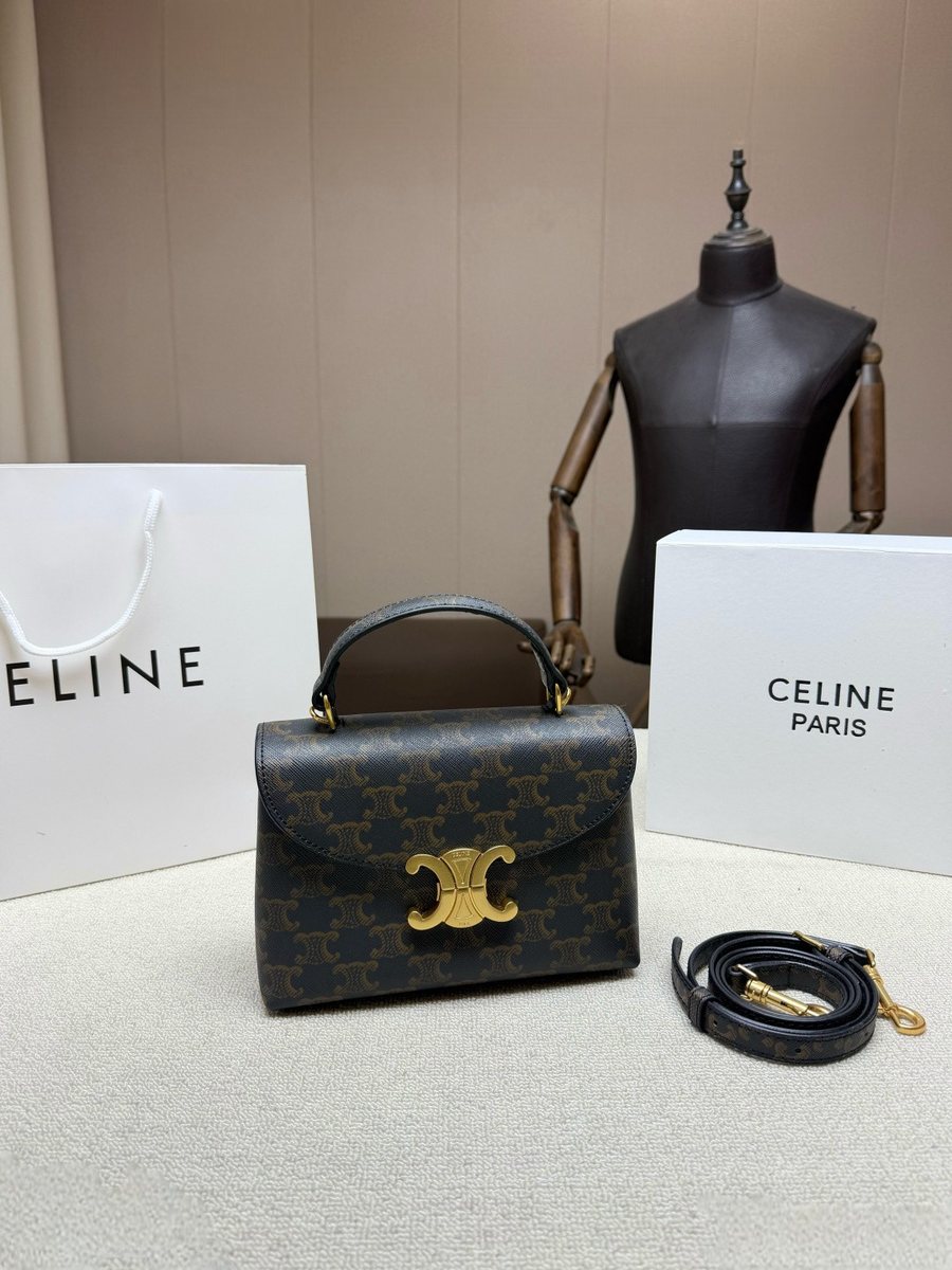 Celine Handbag 721