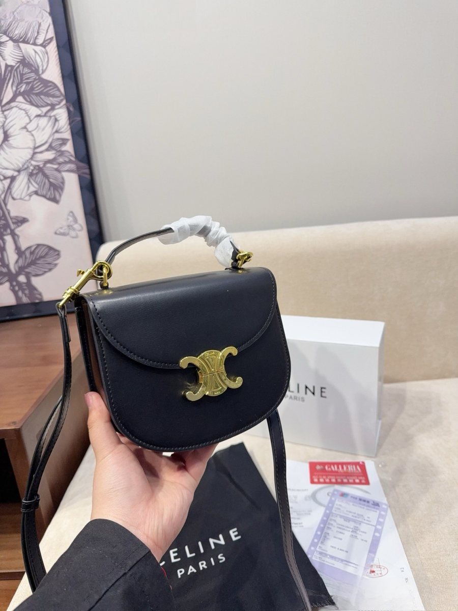 Celine Handbag 723