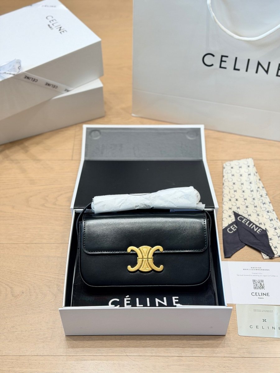 Celine Handbag 741