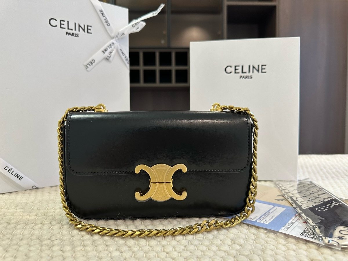 Celine Handbag 750