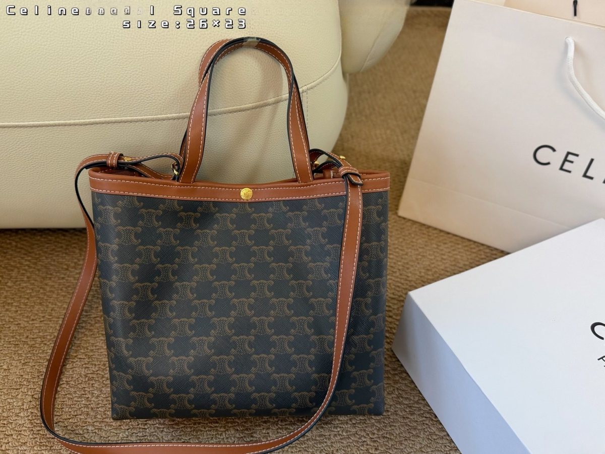 Celine Handbag 766