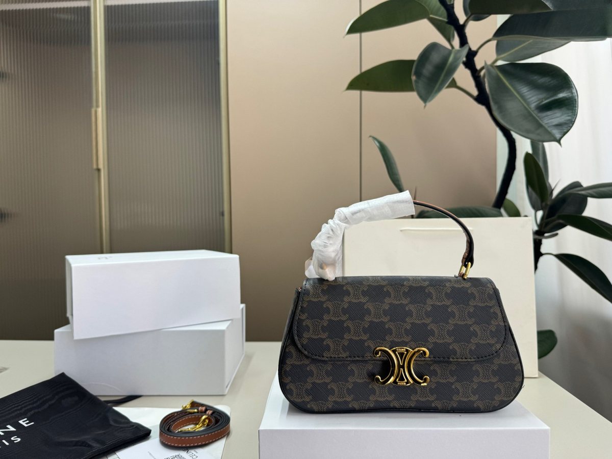 Celine Handbag 768