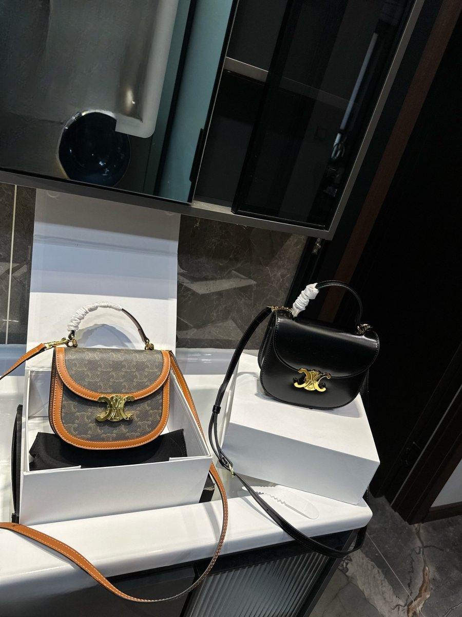 Celine Handbag 778