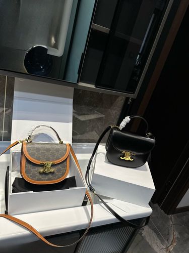 Celine Handbag 778