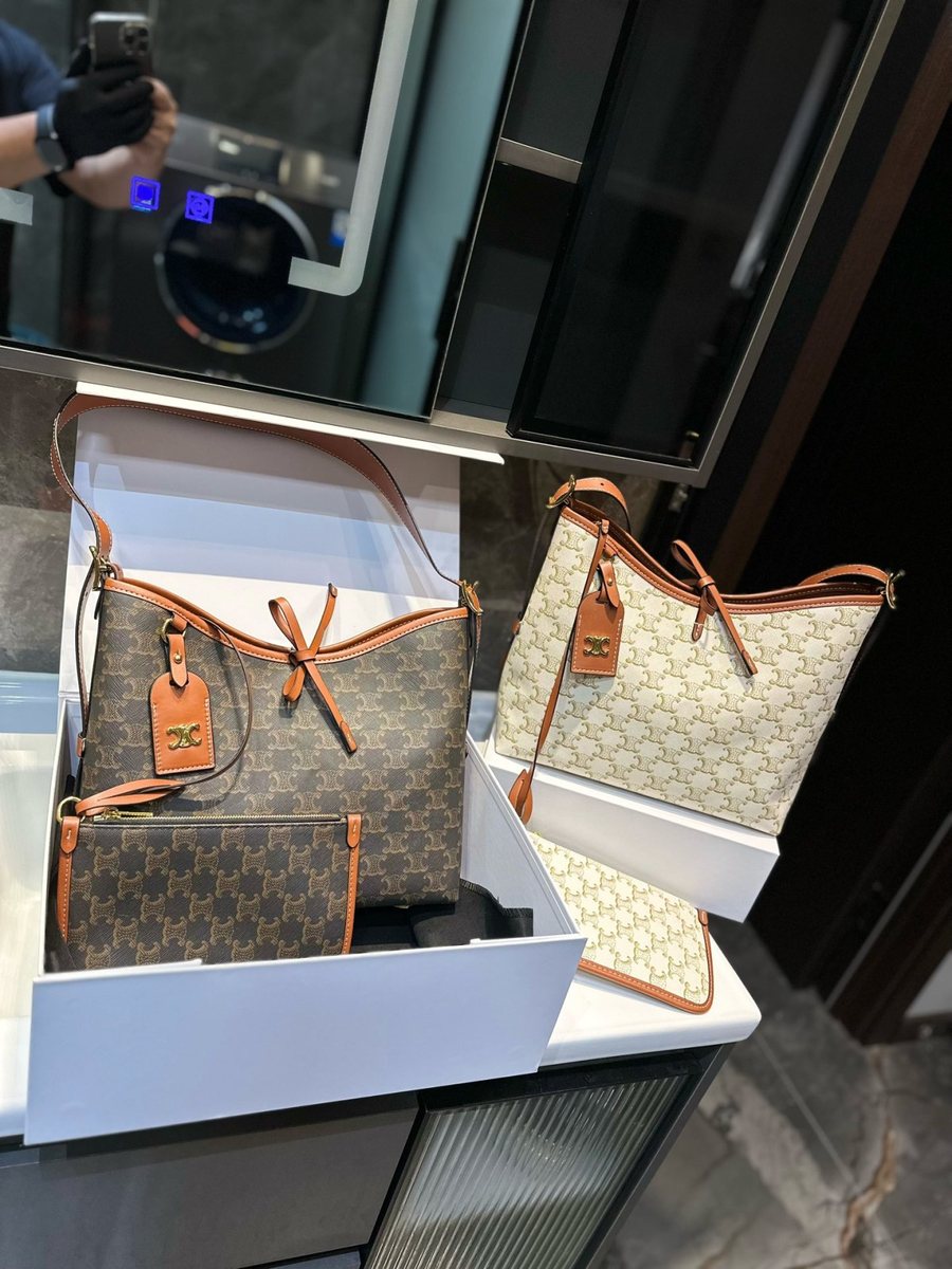 Celine Handbag 779