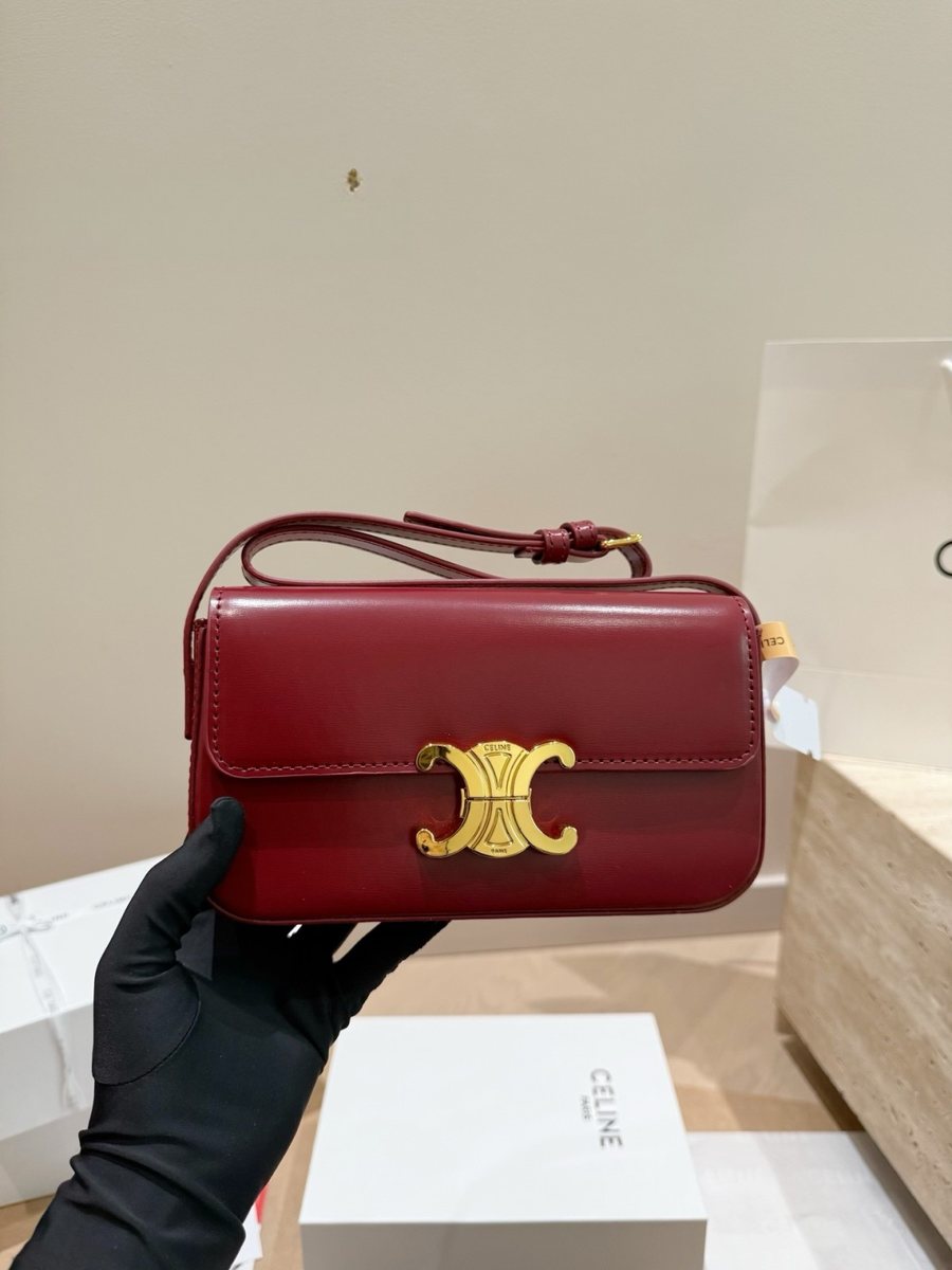 Celine Handbag 785