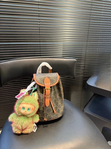 Celine Handbag 788