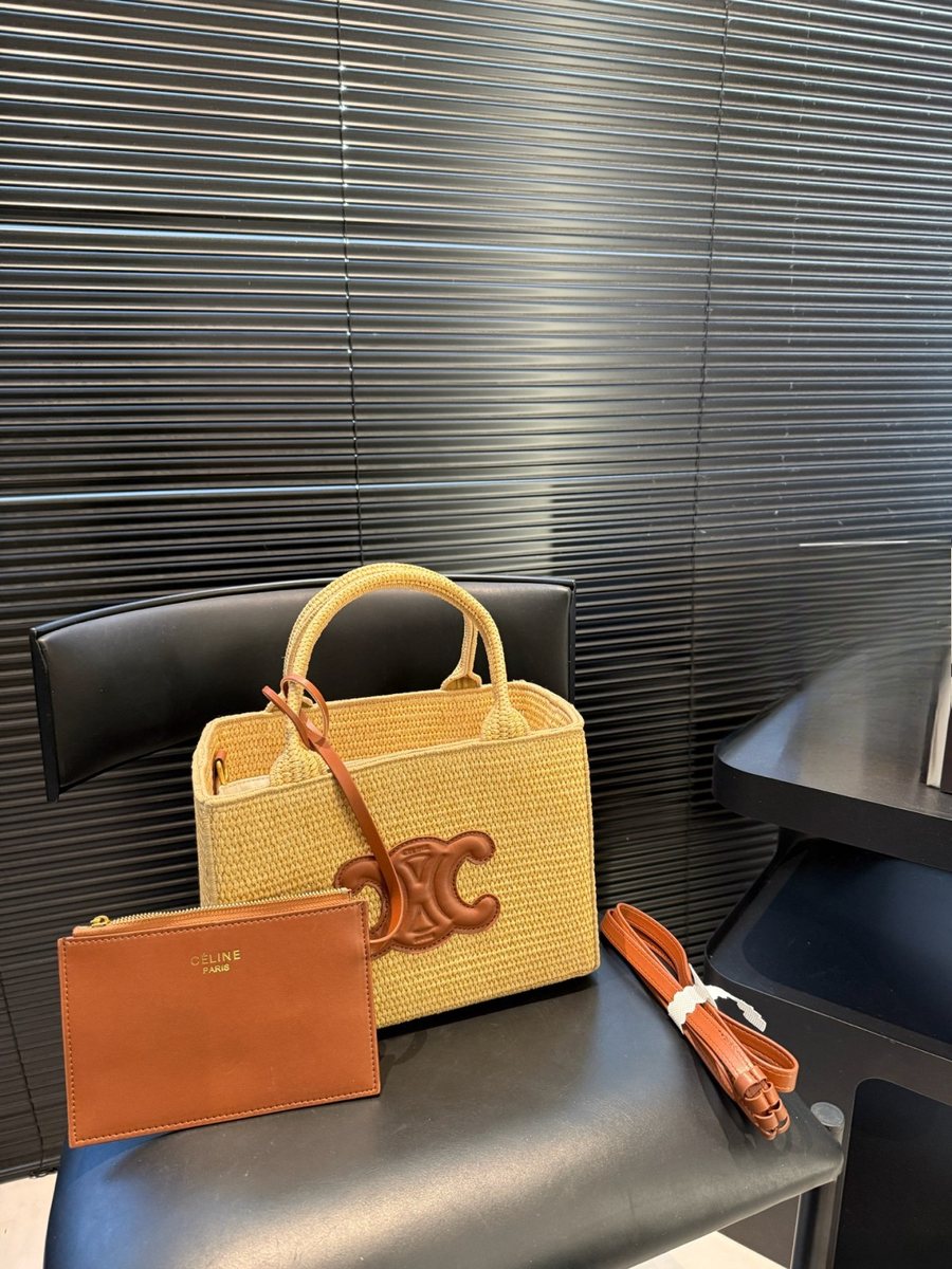 Celine Handbag 789