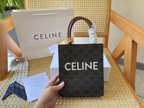 Celine Handbag 803