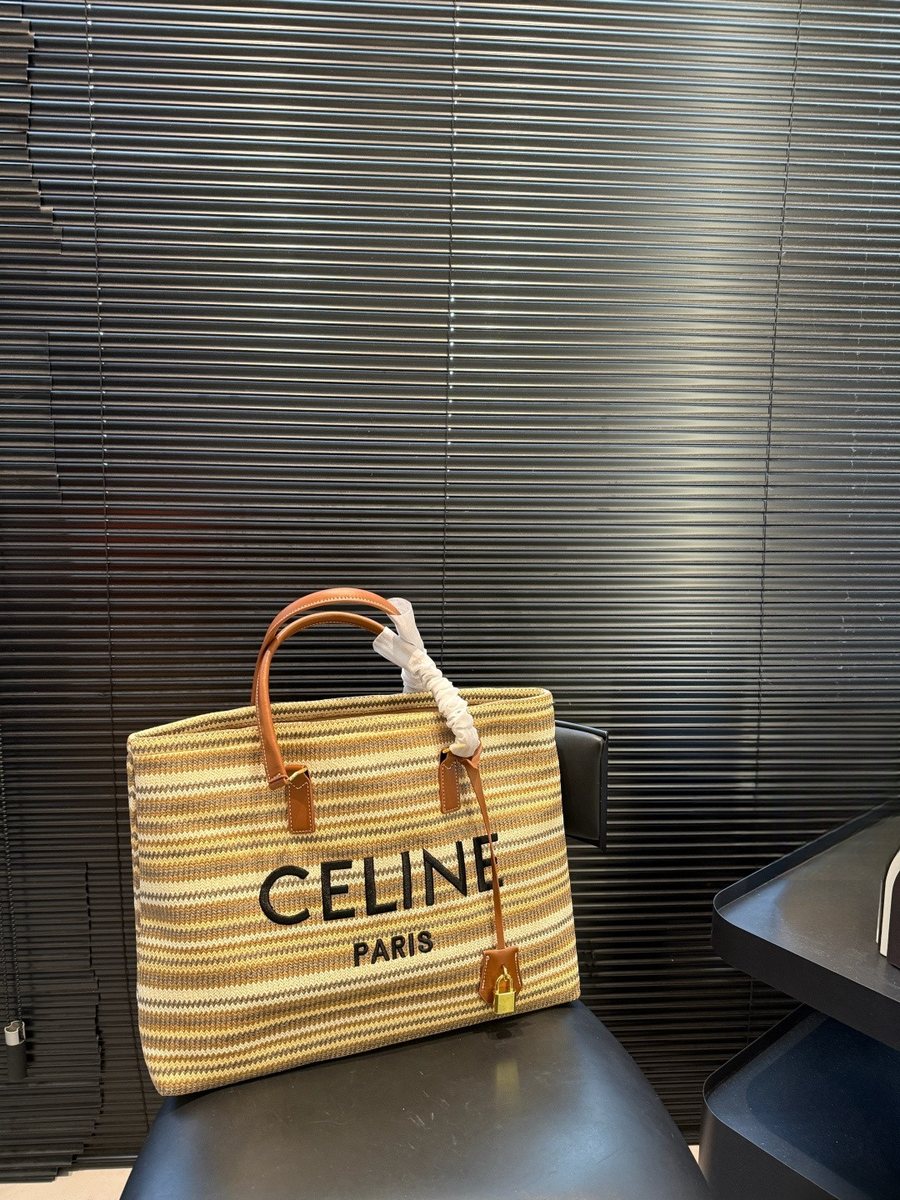 Celine Handbag 816