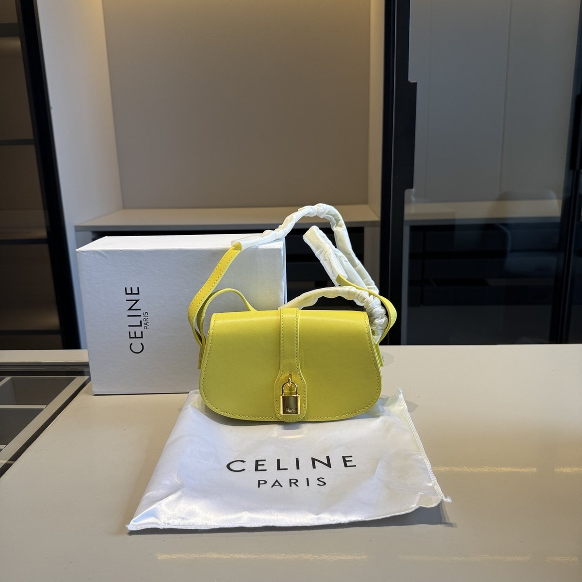 Celine Handbag 845