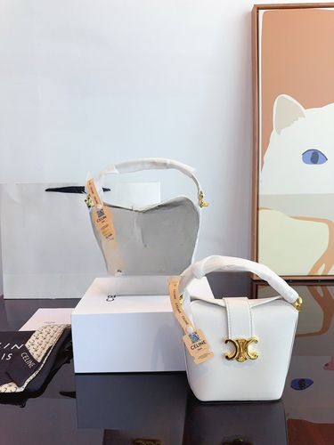 Celine Handbag 850