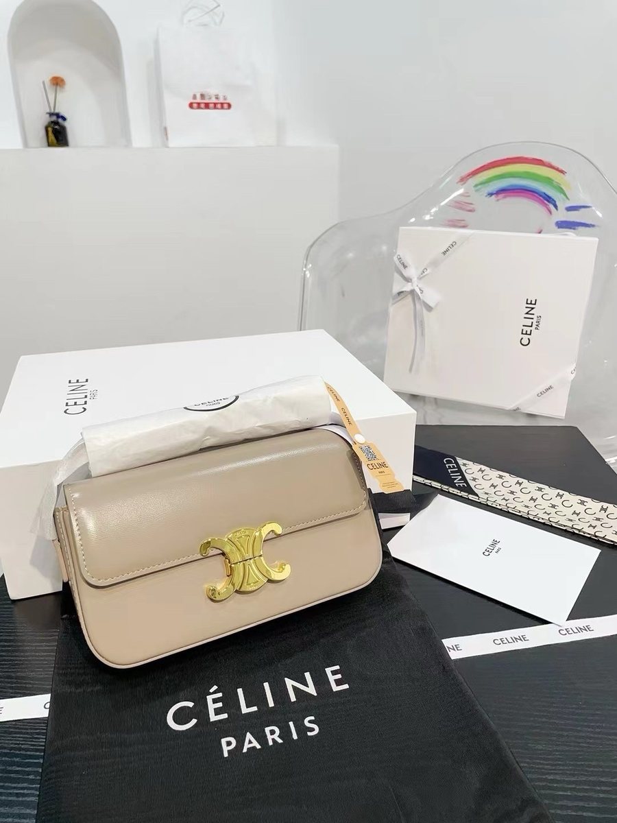 Celine Handbag 858