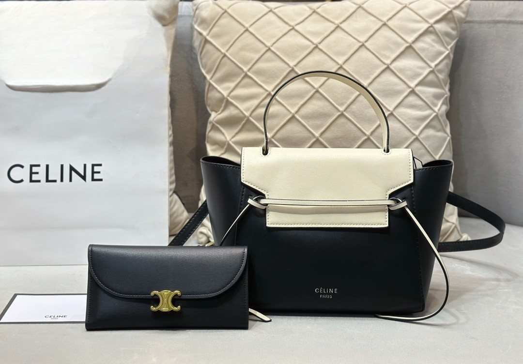 Celine Handbag 876