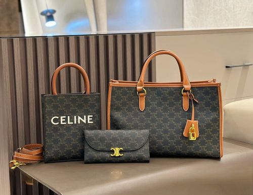 Celine Handbag 878