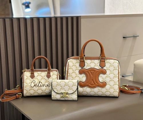 Celine Handbag 879