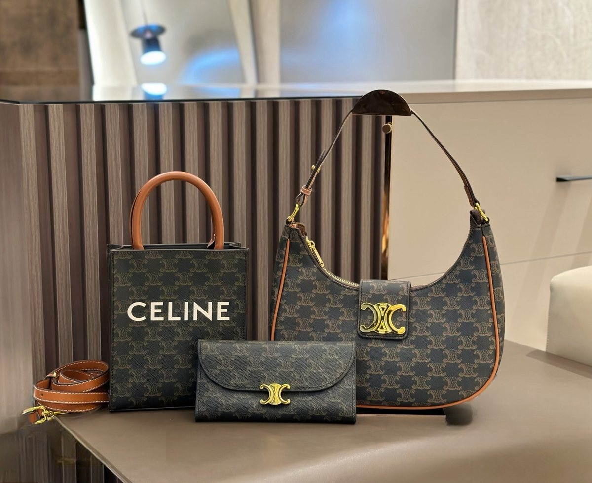 Celine Handbag 882