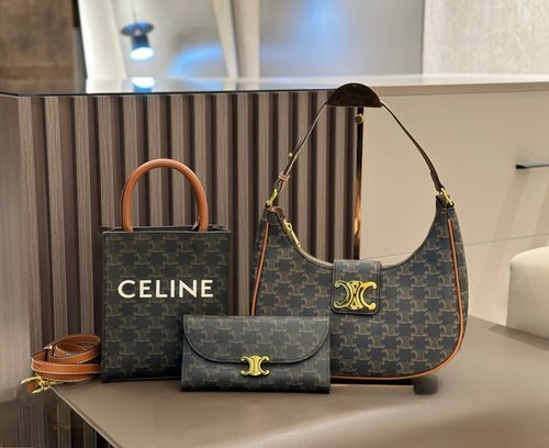 Celine Handbag 882