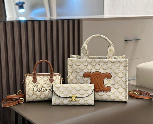 Celine Handbag 883