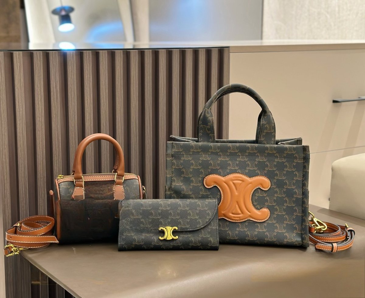 Celine Handbag 884
