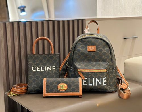 Celine Handbag 885