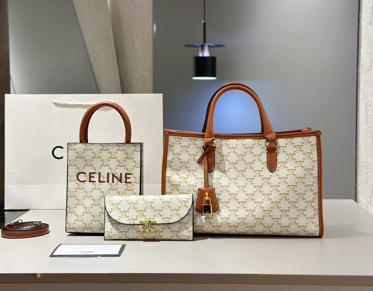 Celine Handbag 889