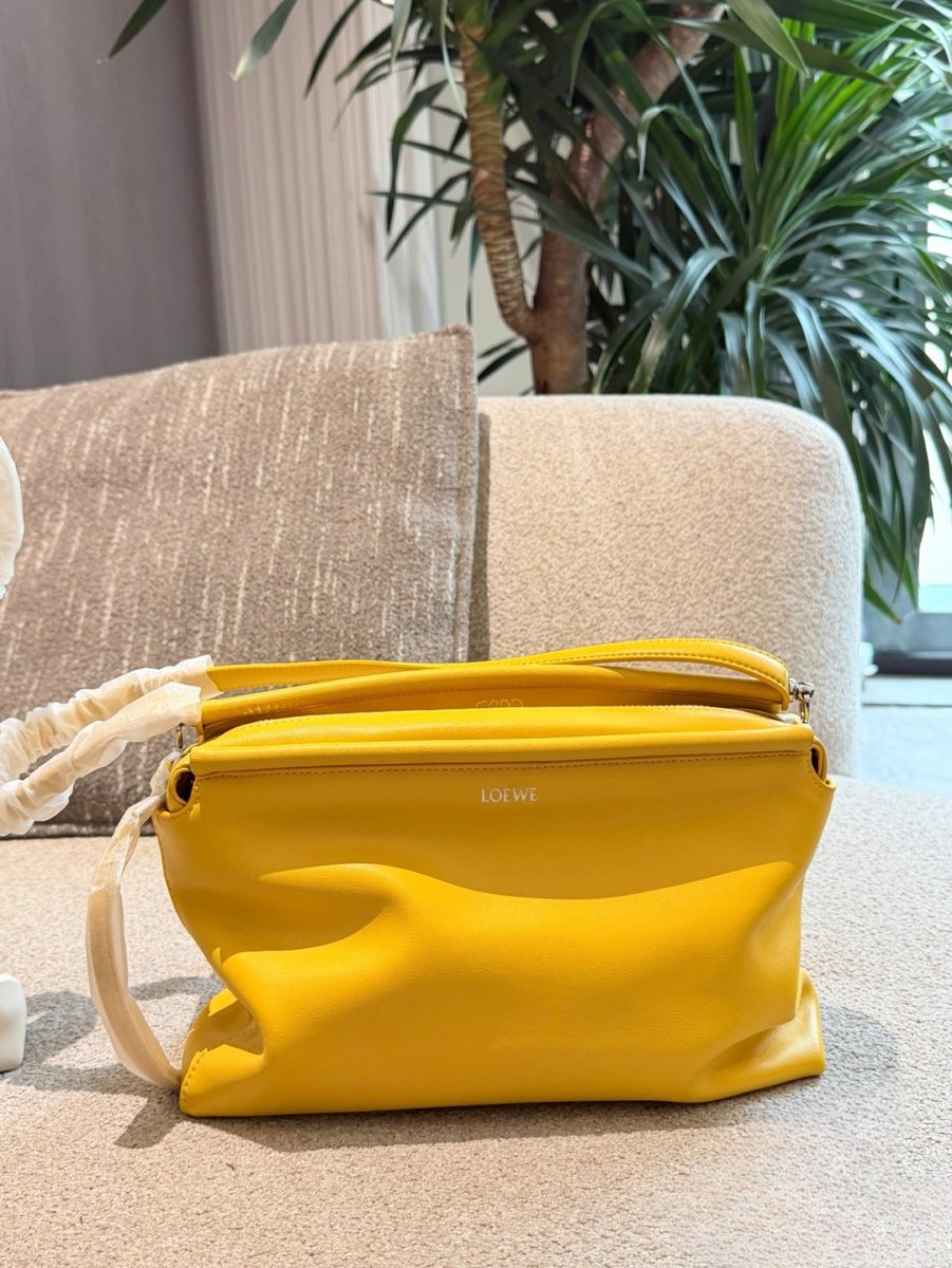 Loewe Handbag 010
