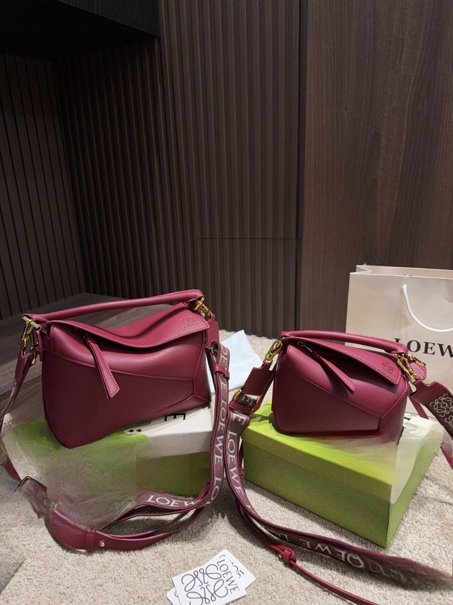 Loewe Handbag 015