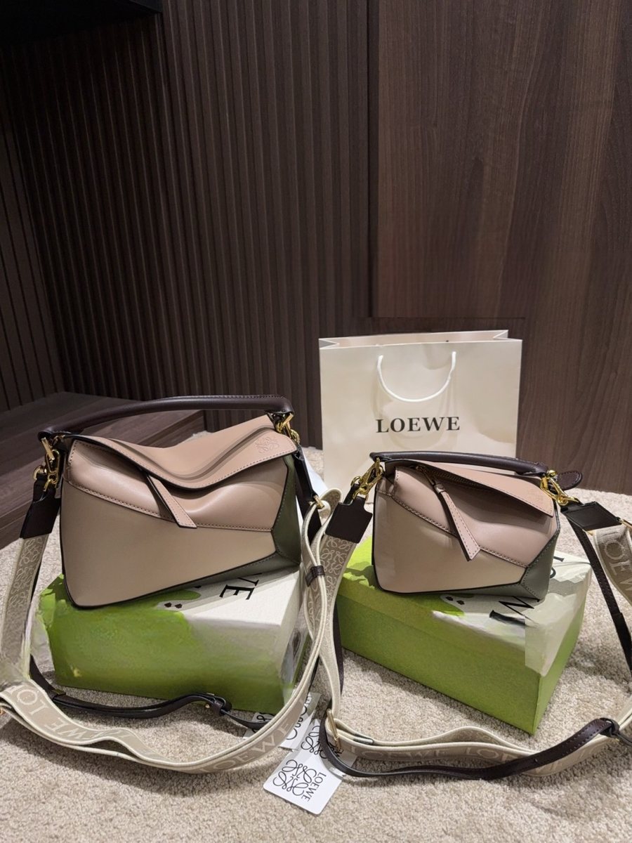 Loewe Handbag 016