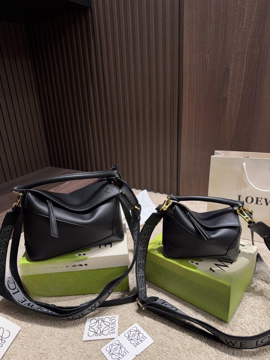 Loewe Handbag 017