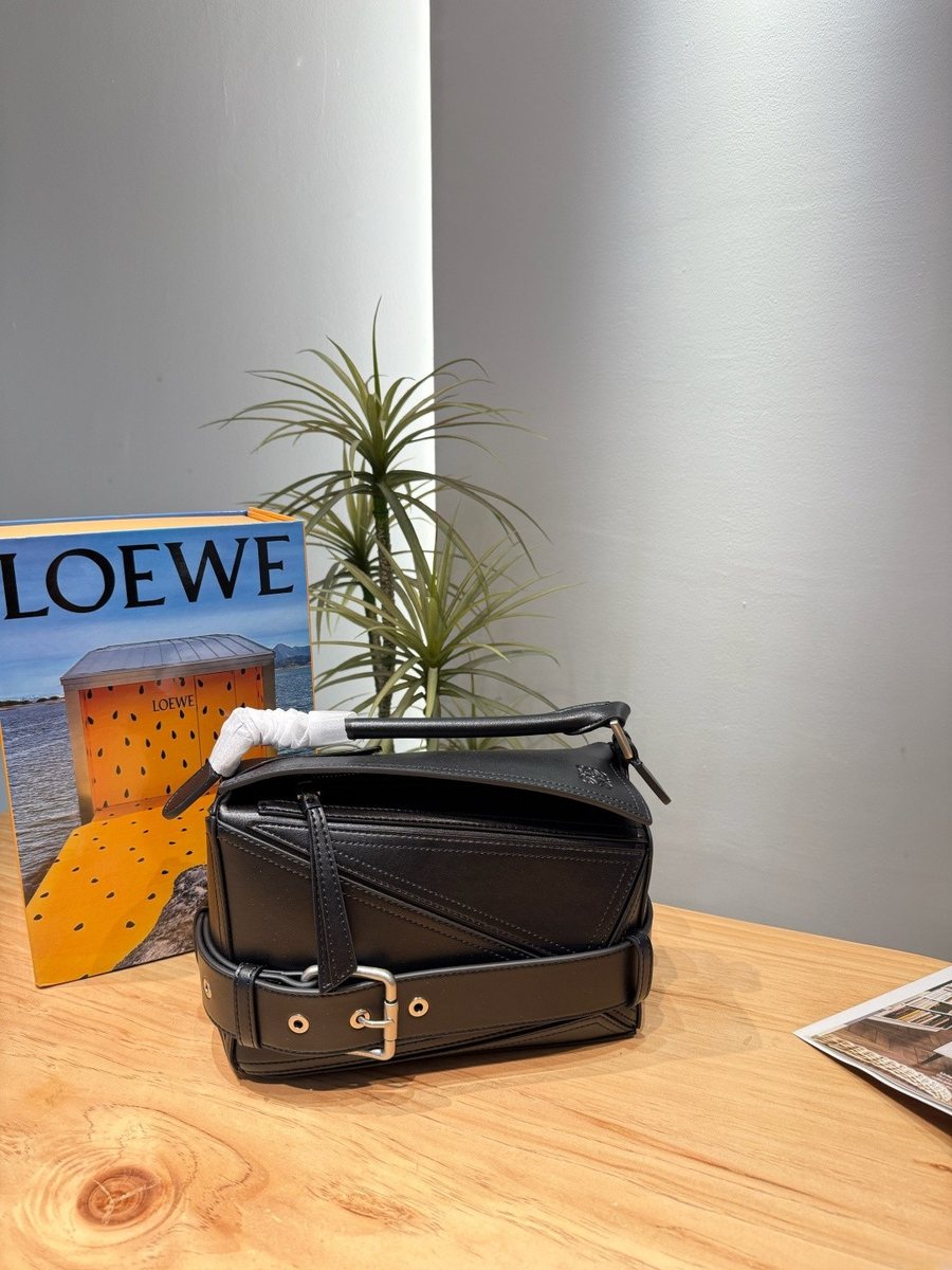 Loewe Handbag 022