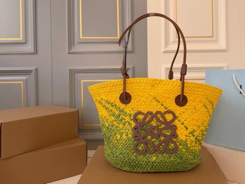 Loewe Handbag 068