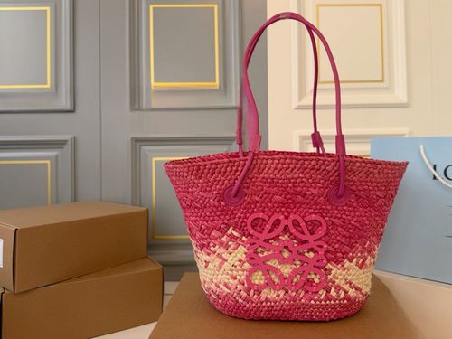 Loewe Handbag 071