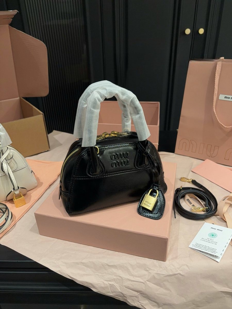 Miu Miu Handbag 009