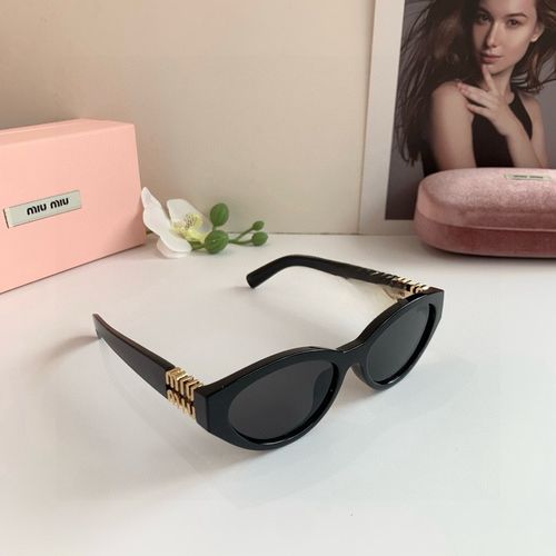 Sunglasses 103