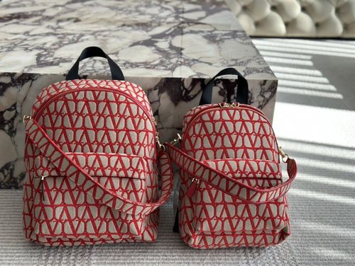 Valentino Handbag 076