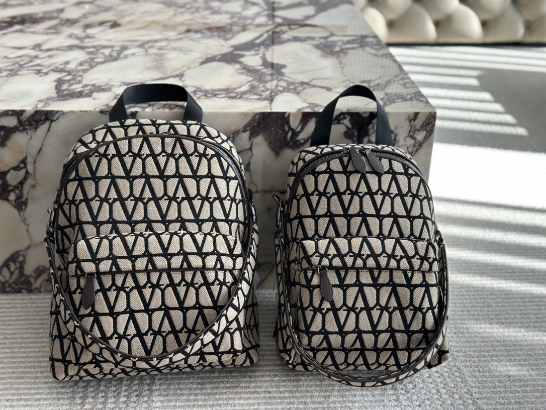 Valentino Handbag 077
